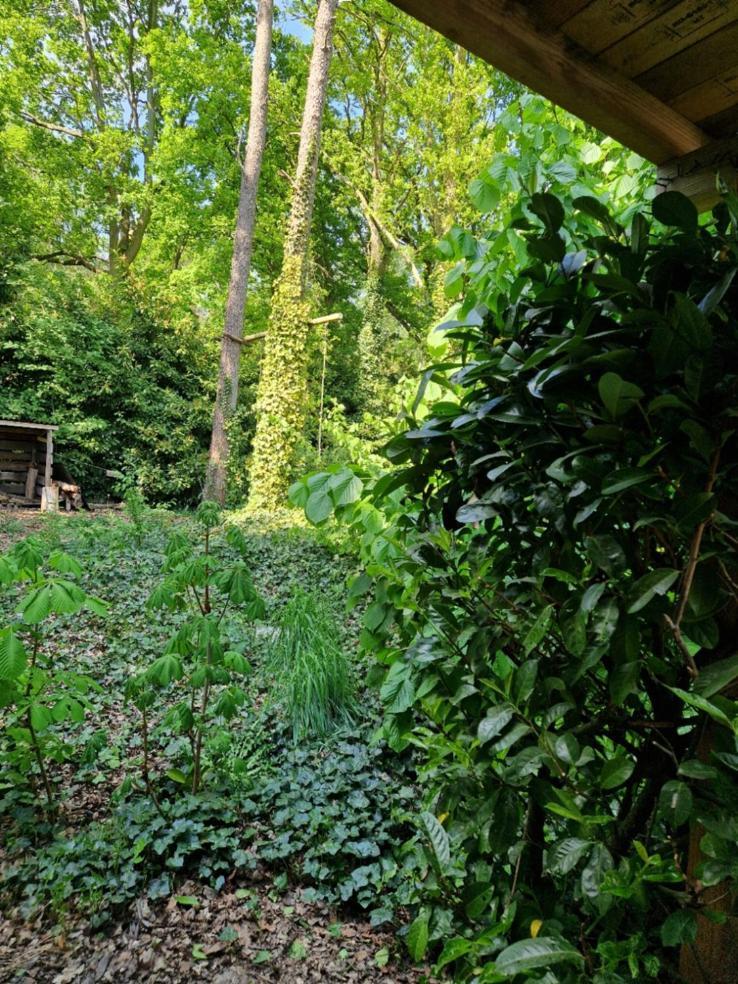 Benb Op De Vleet Vrijstaande Accommodatie Plantage Centrum Bagian luar foto